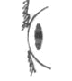 Image of Deutsch-Drahthaar eye and eyelid alignment in the case of Correct Eyelids